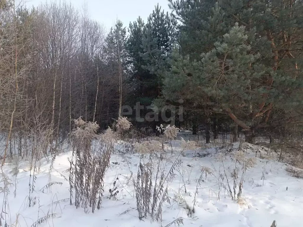 Участок в Нижегородская область, Богородский муниципальный округ, д. ... - Фото 2