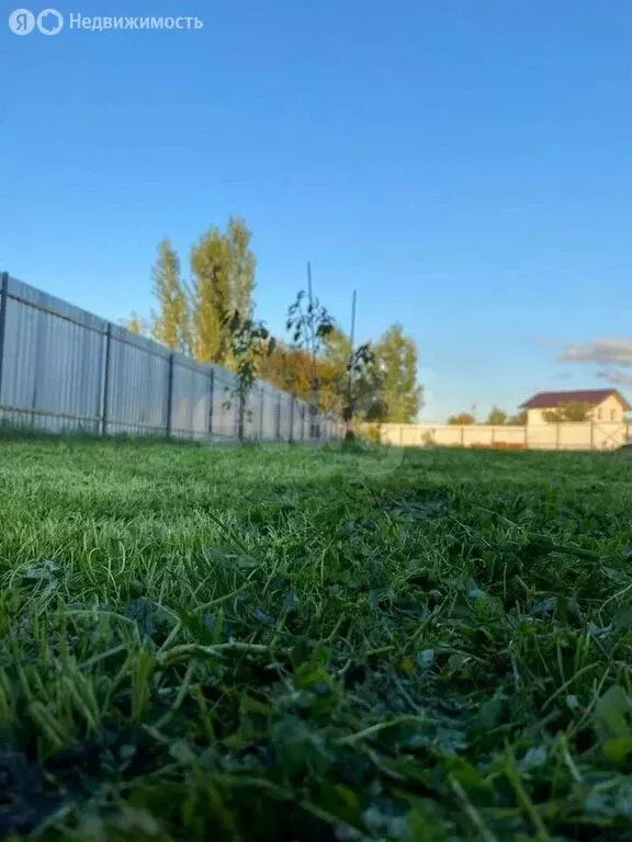 Участок в Рамонский район, Новоживотинновское сельское поселение, СНТ ... - Фото 1