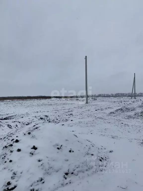 Участок в Белгородская область, Белгородский район, Головинское с/пос, ... - Фото 1