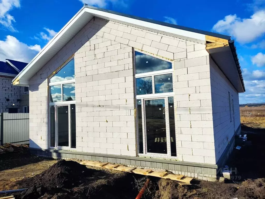 Дом в Воронежская область, Рамонский район, с. Новоживотинное ул. ... - Фото 2