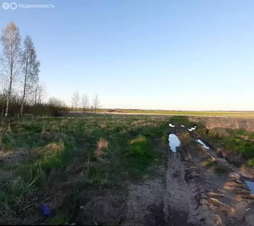 Участок в Лужский район, Володарское сельское поселение, деревня ... - Фото 1