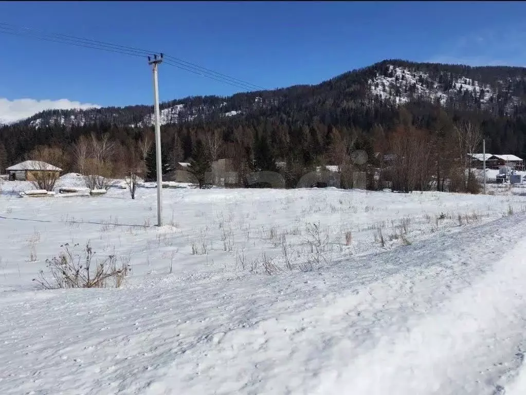 Участок в Алтай, Усть-Коксинский район, Усть-Коксинское с/пос, пос. ... - Фото 2