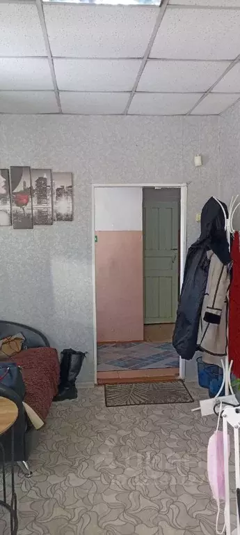 Помещение свободного назначения в Забайкальский край, Борзя ... - Фото 0