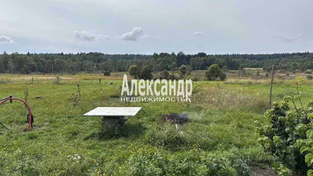 Участок в Ленинградская область, Выборгский район, Советское городское ... - Фото 1