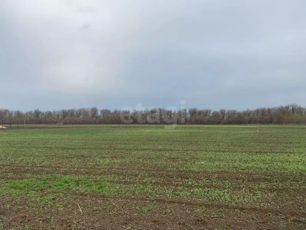 Участок в Ростовская область, Таганрог Андреевский жилой комплекс ... - Фото 2