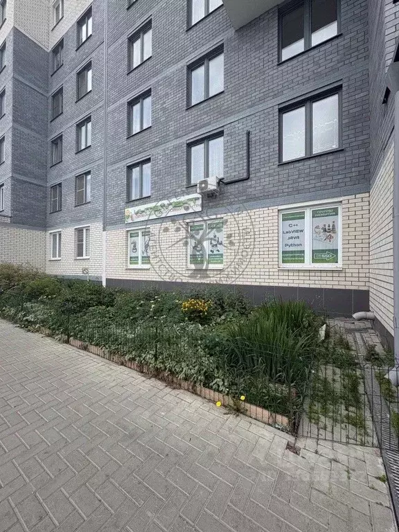 Помещение свободного назначения в Свердловская область, Екатеринбург ... - Фото 2