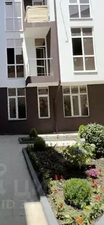 1-к кв. Краснодарский край, Сочи ул. Тимирязева, 47/9 (16.0 м) - Фото 1