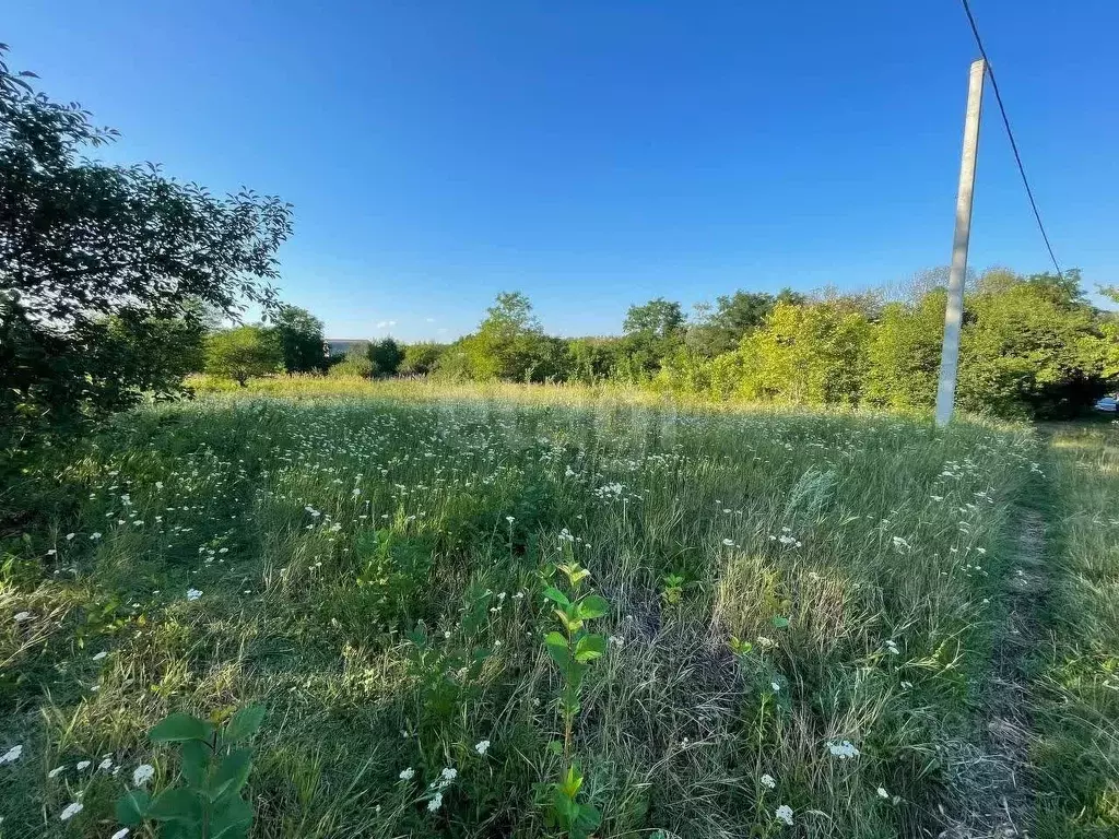 Участок в Белгородская область, Строитель Яковлевский городской округ, ... - Фото 1