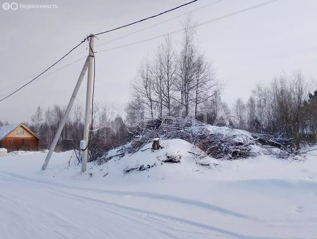 Участок в Тюмень, садовое товарищество Ясень, Третья улица (12 м) - Фото 0