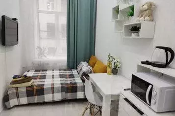 1-к кв. Санкт-Петербург Большая Подьяческая ул., 18 (15.0 м) - Фото 0