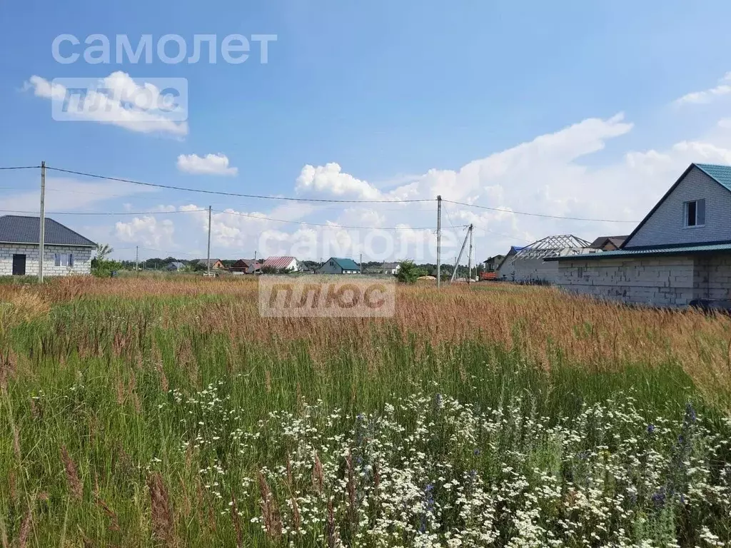 Участок в Липецкая область, Грязи ул. Михаила Путилина, 34 (10.28 ... - Фото 2