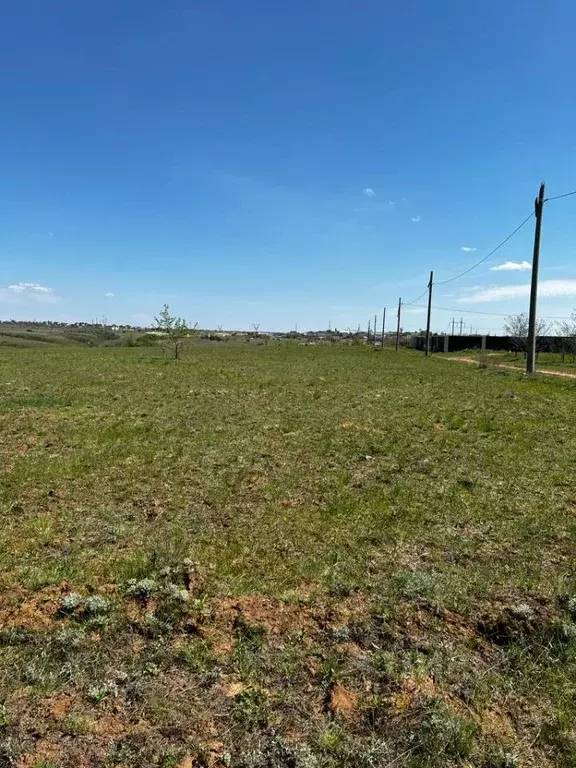 Участок в Волгоградская область, Городищенский район, Царицынское ... - Фото 1