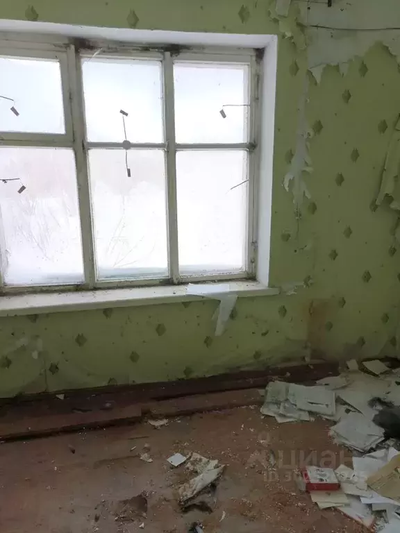 Помещение свободного назначения в Алтайский край, Зональный район, с. ... - Фото 2
