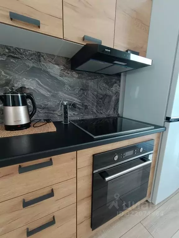 1-к кв. Воронежская область, Новоусманский район, пос. Отрадное, Новое ... - Фото 1