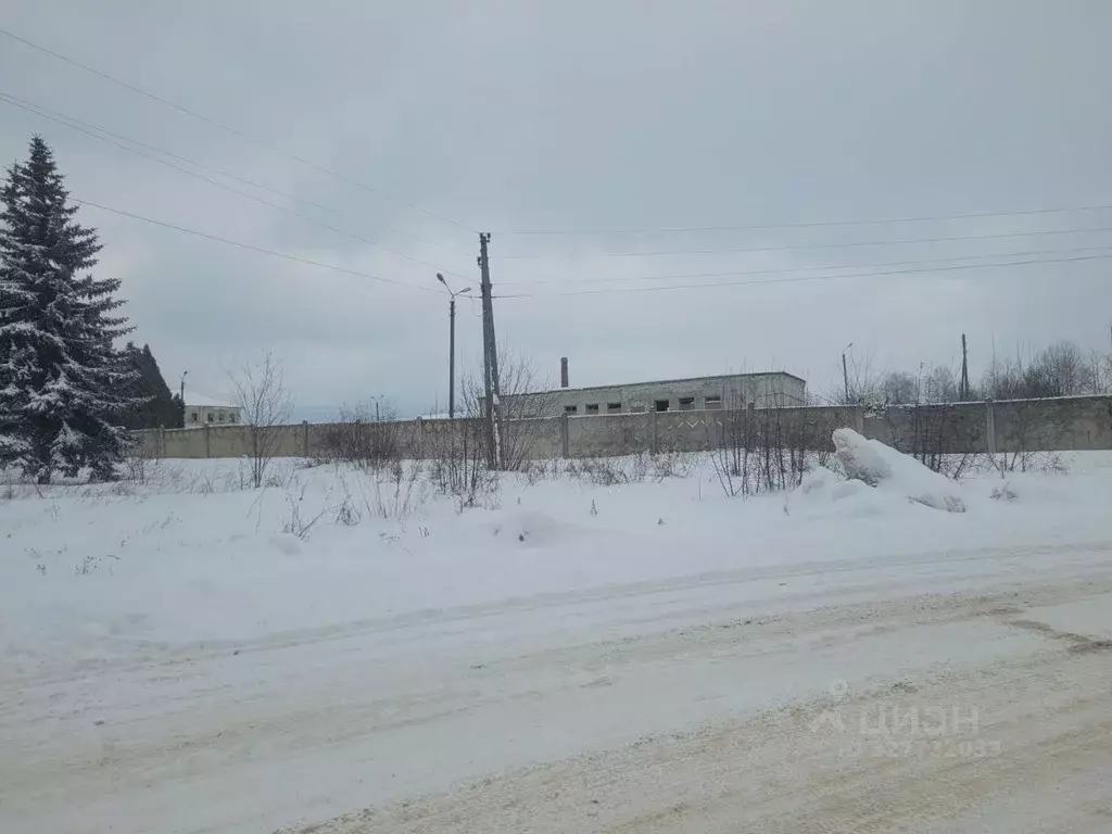 Участок в Брянская область, Навля рп  (46.4 сот.) - Фото 2