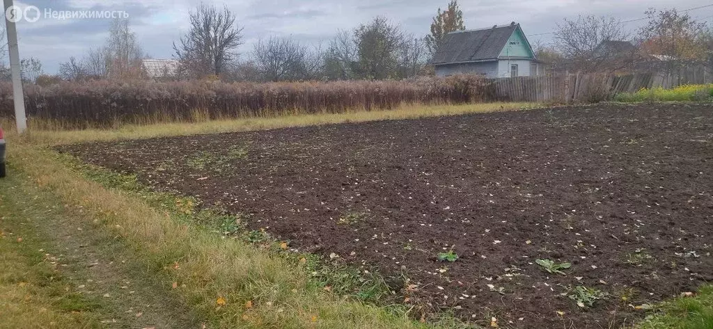 Участок в Толмачево, СДТ Русь (5 м) - Фото 1