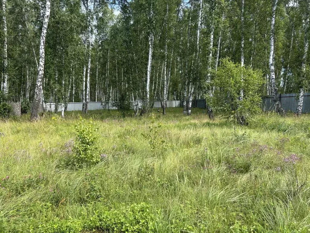 Участок в Челябинская область, Сосновский муниципальный округ, д. ... - Фото 0