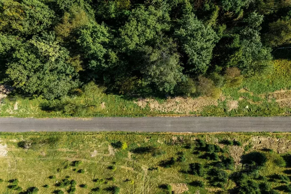 Участок в Московская область, Истра муниципальный округ, д. Дубровское ... - Фото 1