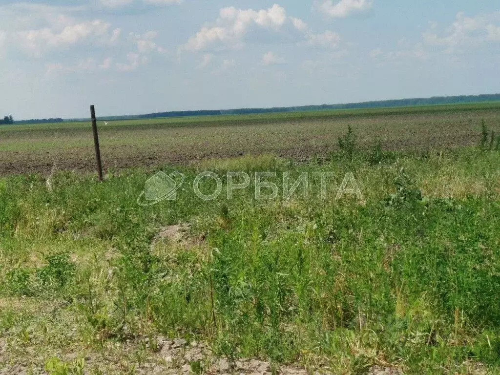 Участок в Тюменская область, Тюменский район, д. Елань  (10.34 сот.) - Фото 0