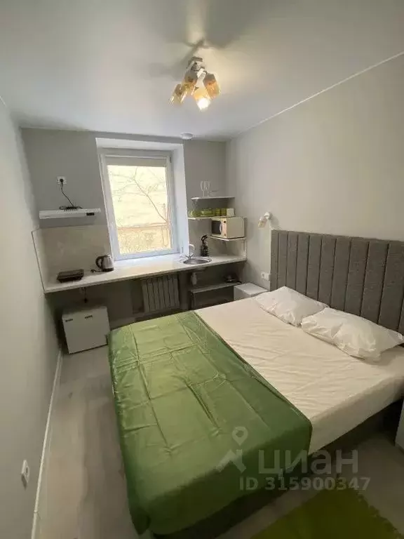 Студия Санкт-Петербург Пушкинская ул., 15 (17.0 м) - Фото 0