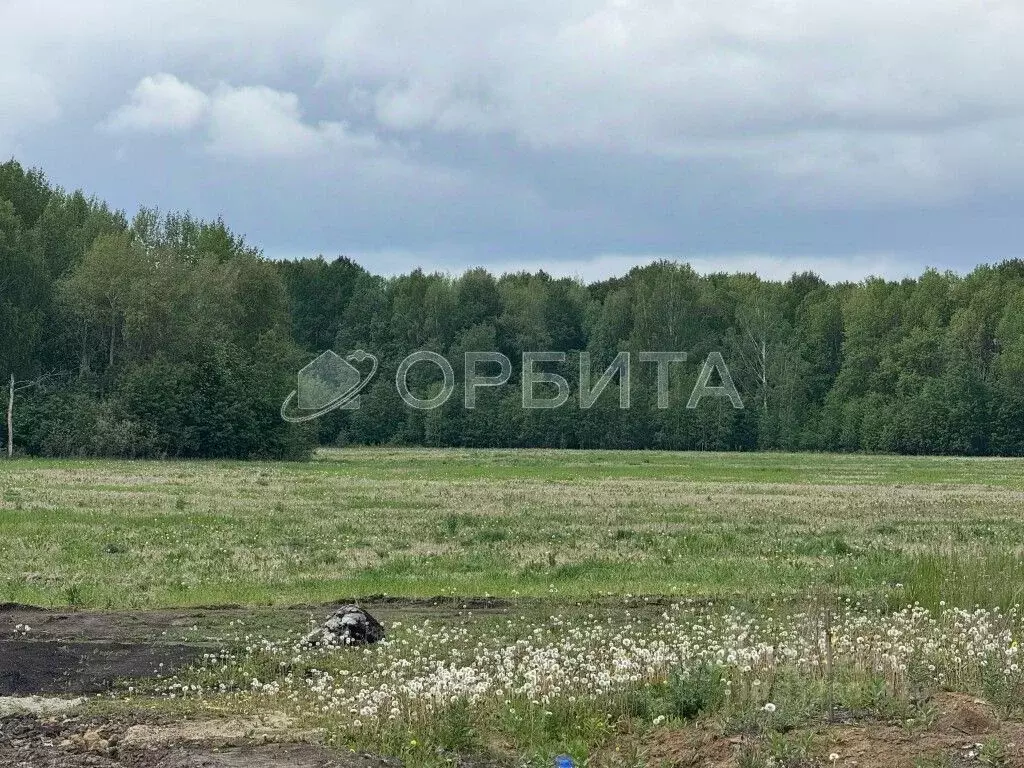 Участок в Тюменская область, Тюменский район, с. Кулига  (7.5 сот.) - Фото 0