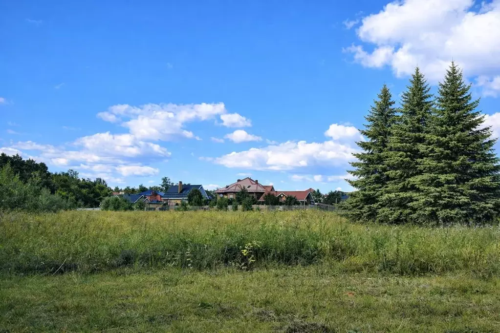 Участок в Московская область, Пушкино Новая Деревня мкр, Колхозная ул. ... - Фото 2