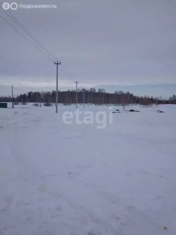 Участок в Чебаркульский район, трасса Чебаркуль–Архангельское, 5-й ... - Фото 1