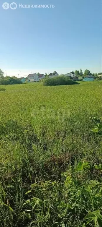 Участок в Новгородская область, Чудовский муниципальный район, ... - Фото 1