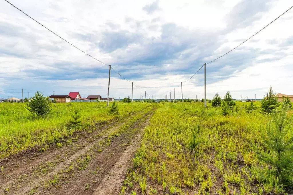 Участок в Тюменская область, Тюменский муниципальный округ, д. Елань  ... - Фото 1