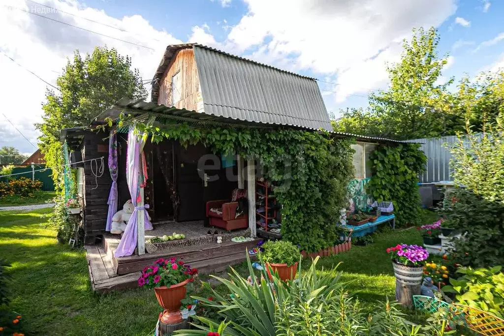 Дом в Бердск, СНТ Вега-3 (33 м) - Фото 1
