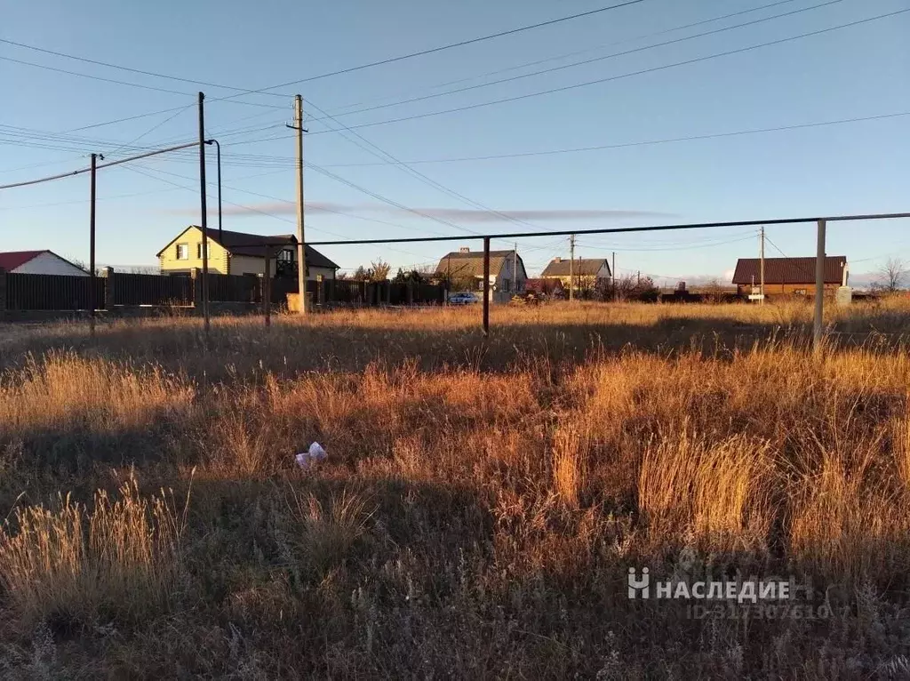 Участок в Ростовская область, Белокалитвинский район, Нижнепоповское ... - Фото 1