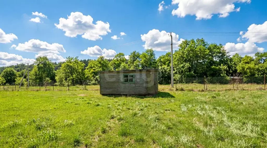 Участок в Тульская область, Алексин городской округ, д. Нижнее ... - Фото 1