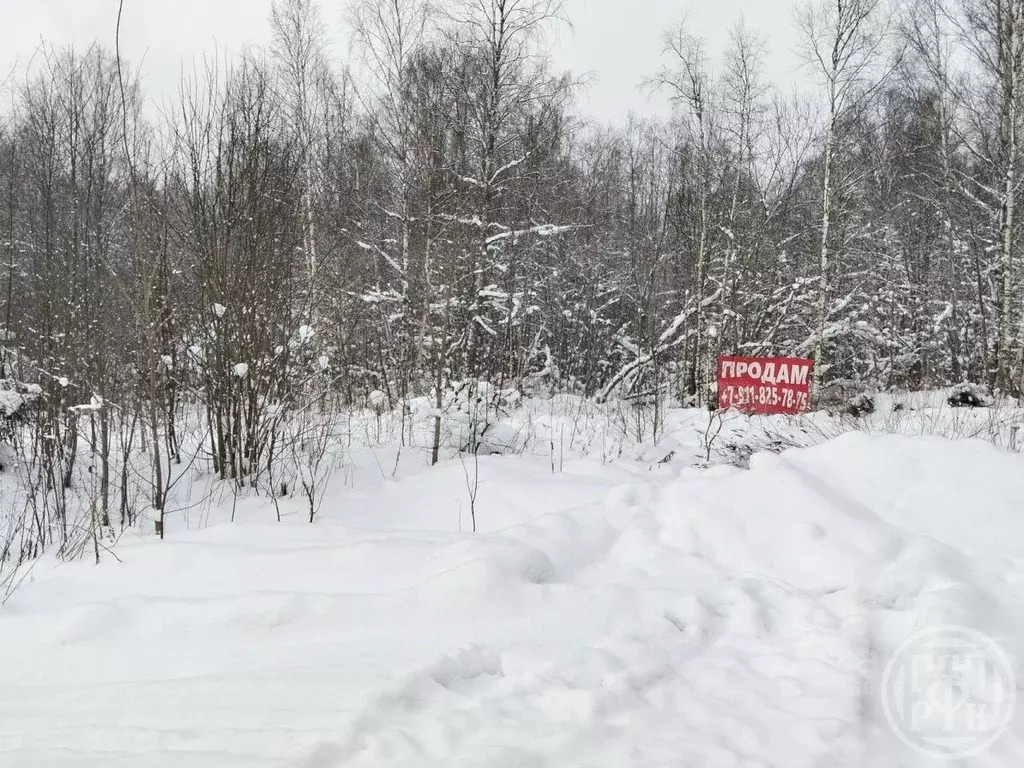 Участок в Ленинградская область, Выборгский район, Полянское с/пос, ... - Фото 1