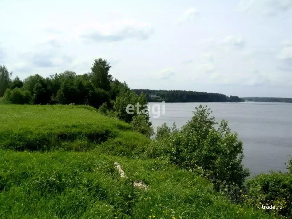 Дом в Тюменская область, Исетский муниципальный округ, д. Турушево ул. ... - Фото 1