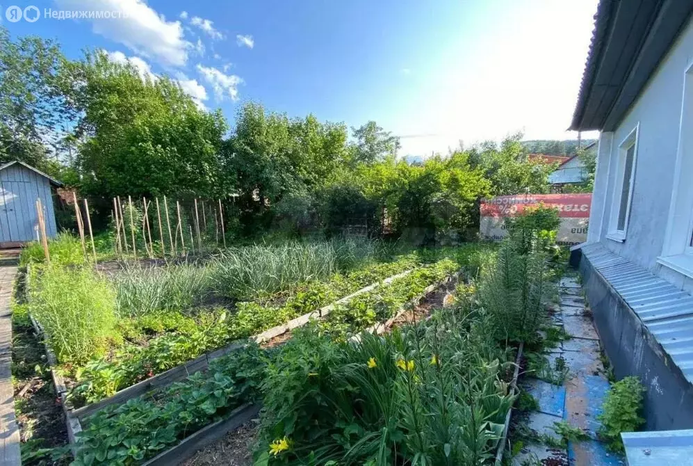 Дом в Горно-Алтайск, улица Макария Глухарева (38 м) - Фото 2