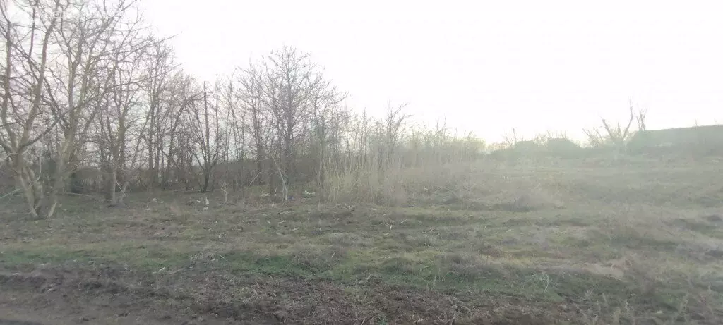 Участок в Краснодарский край, Ейск (6.3 м) - Фото 1