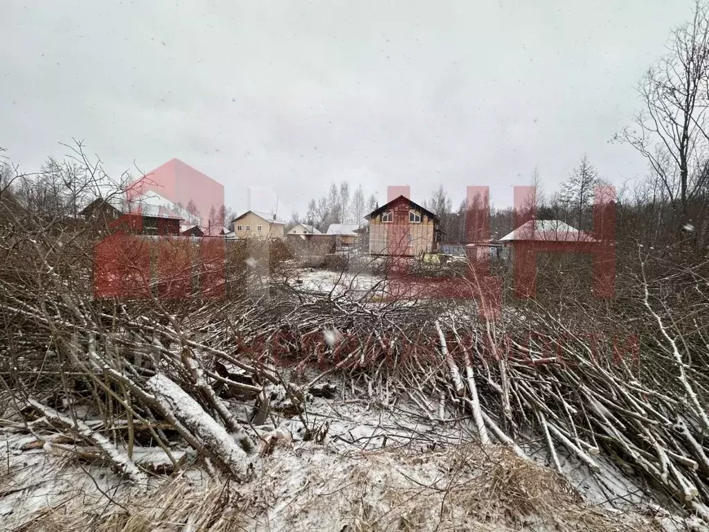 Участок в Тверская область, Конаковский муниципальный округ, Ремонтник ... - Фото 0