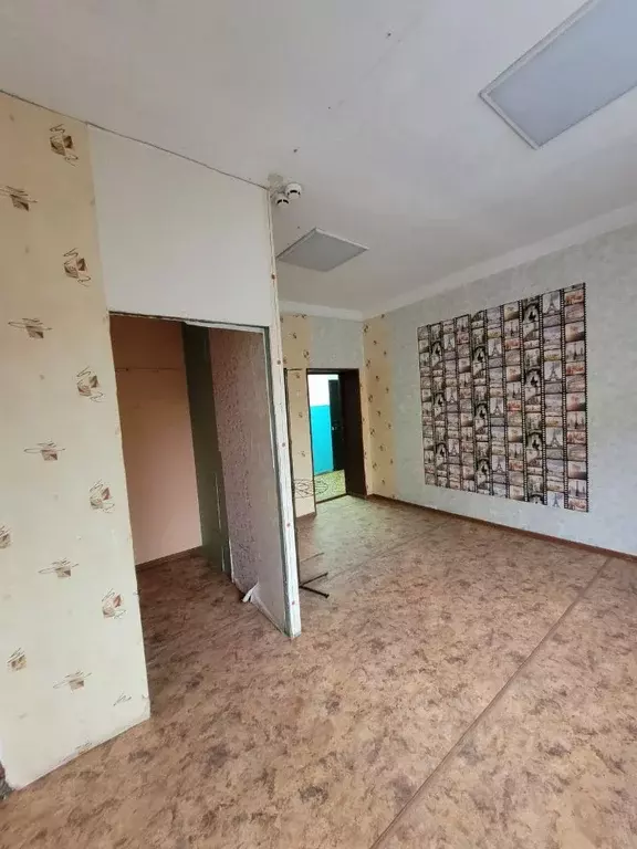 Помещение свободного назначения в Омская область, Омск Братская ул., ... - Фото 2