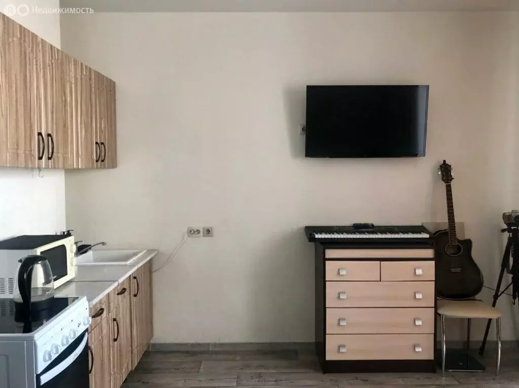 Квартира-студия: Барнаул, Партизанская улица, 203 (25.2 м) - Фото 1