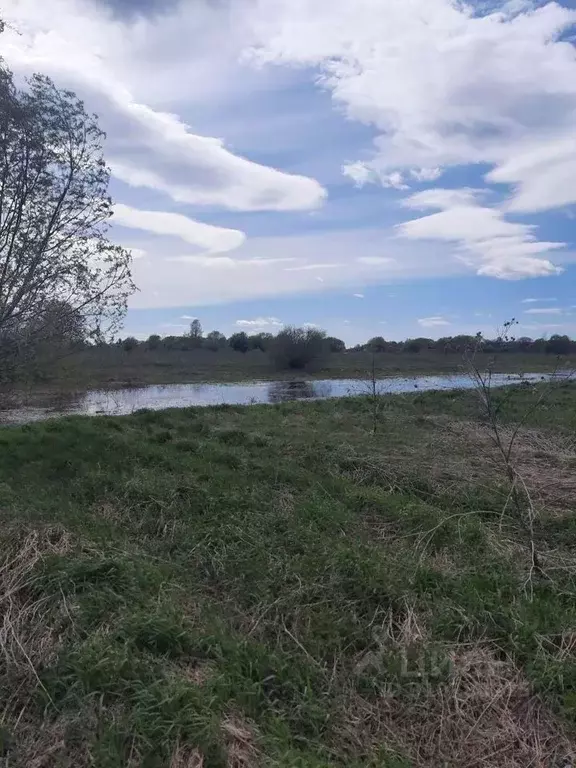 Участок в Новгородская область, Новгородский район, Бронницкое с/пос, ... - Фото 1