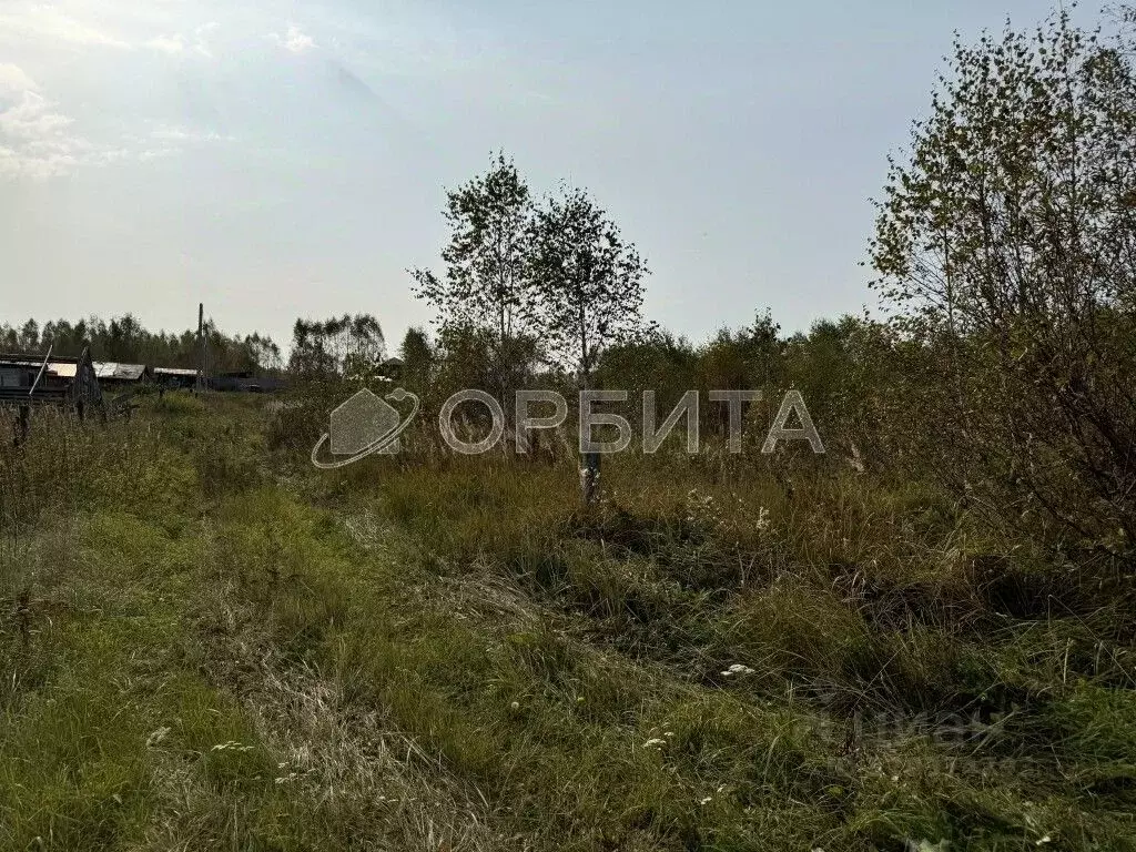 Участок в Тюменская область, Нижнетавдинский район, Лебедушка СПК  ... - Фото 0