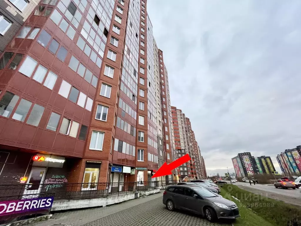 Помещение свободного назначения в Ленинградская область, Мурино ... - Фото 2