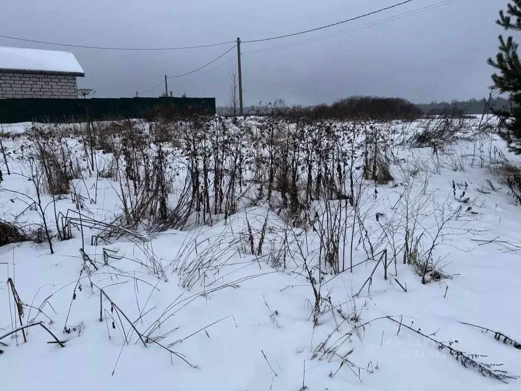 Участок в Московская область, Пушкинский городской округ, д. Никулино  ... - Фото 0