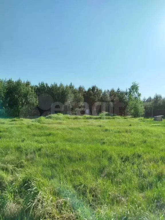 Участок 11,3 сот. (СНТ, ДНП) - Фото 1