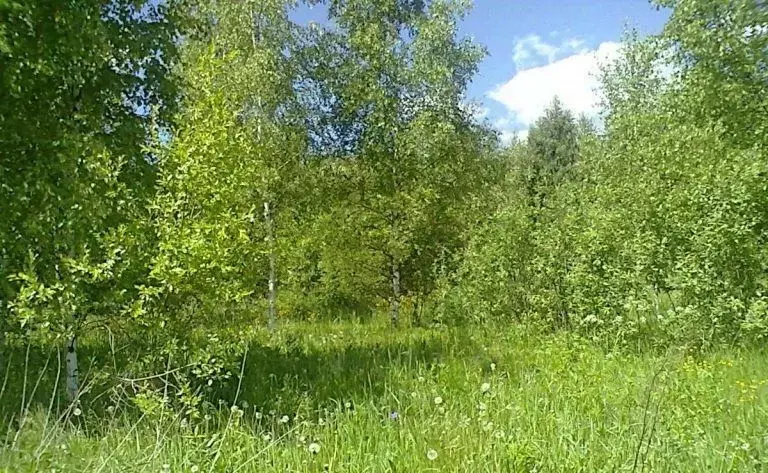 Участок в Ленинградская область, Лодейнопольский район, Янегское ... - Фото 2