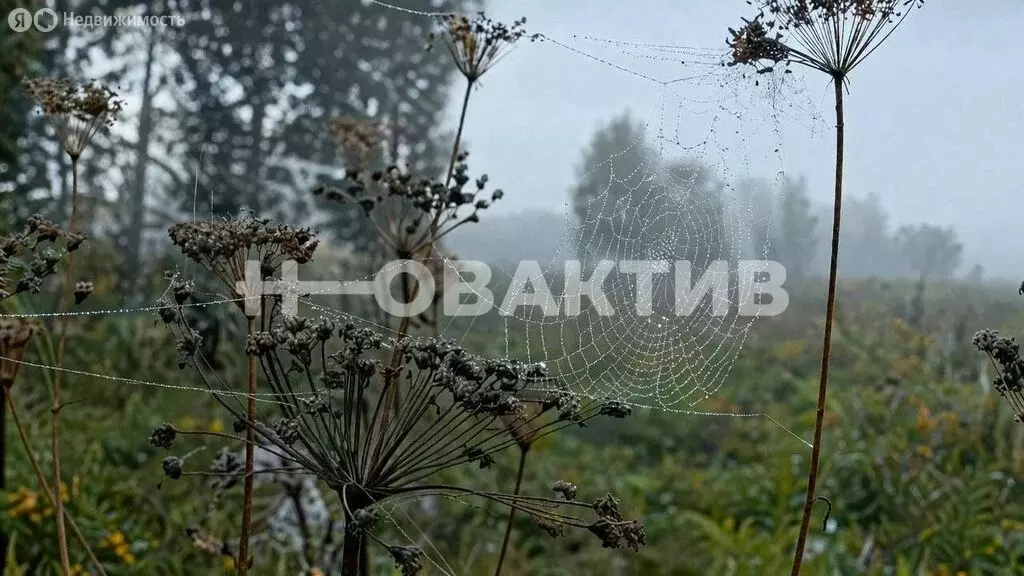 Участок в село Новолуговое (9.26 м) - Фото 2
