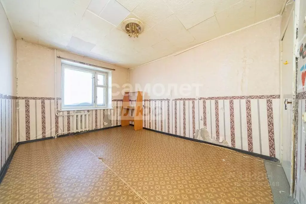 2-к кв. Пермский край, Краснокамск ул. Чапаева, 33Б (35.4 м) - Фото 1