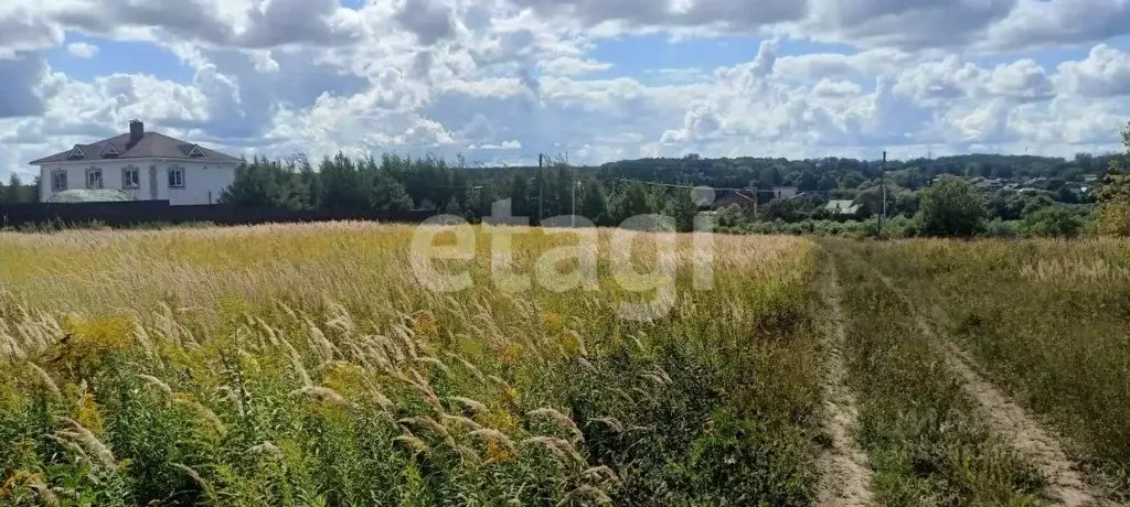 Участок в Тульская область, Ясногорский район, Ревякинское ... - Фото 0