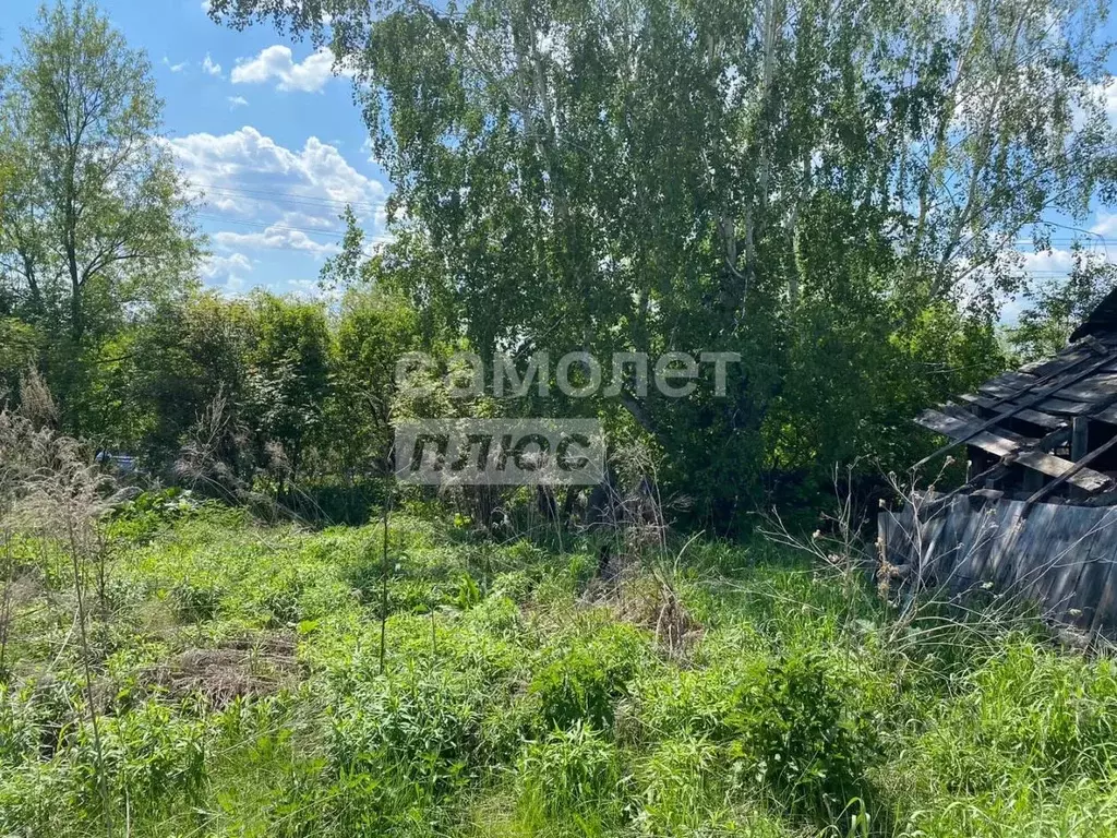 Участок в Тульская область, Киреевский район, Бородинское с/пос, д. ... - Фото 2