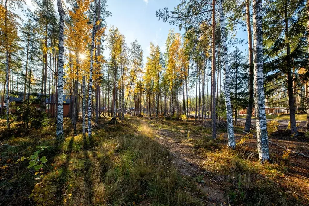 Участок в Ленинградская область, Выборгский район, Полянское с/пос, ... - Фото 1